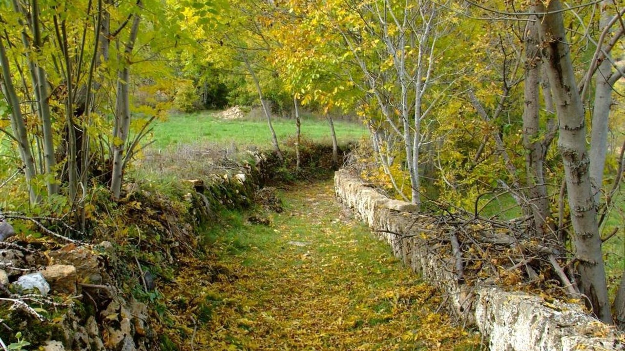 Photo of Outdoor in Pujal