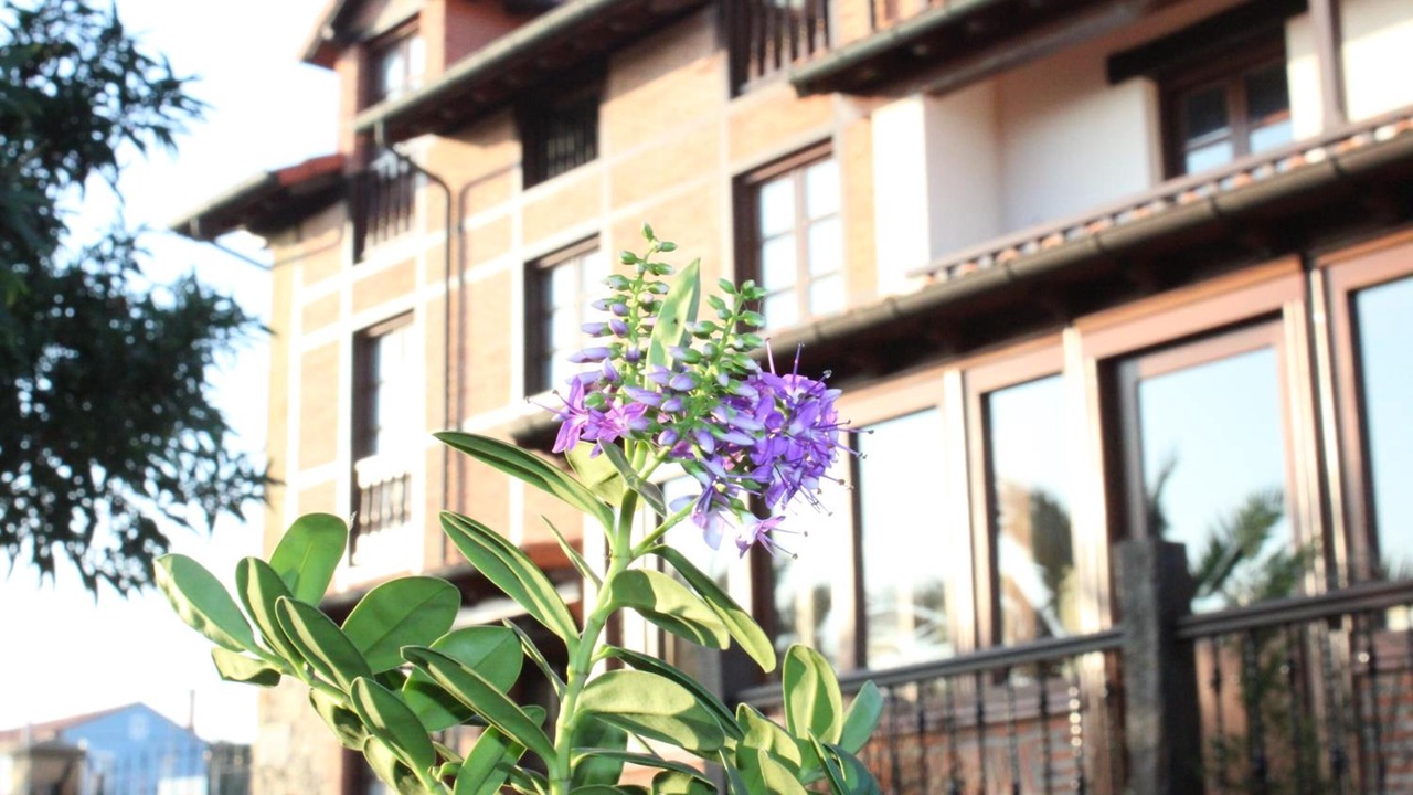 Photo of Outdoor in Vispieres