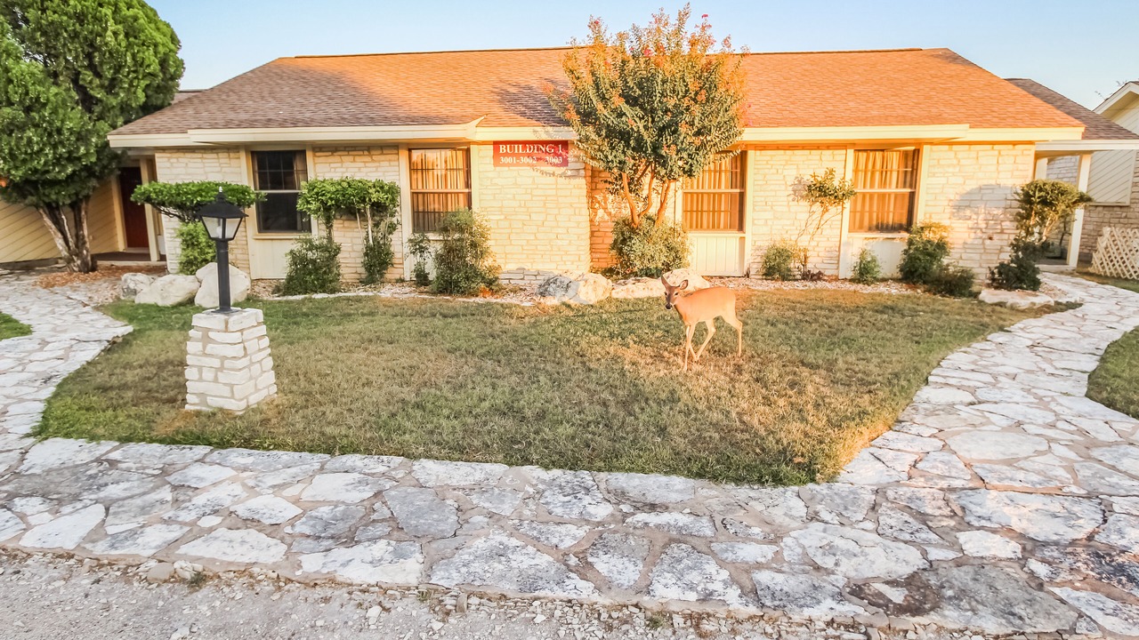 Photo of Outdoor in Highland Lake Estates