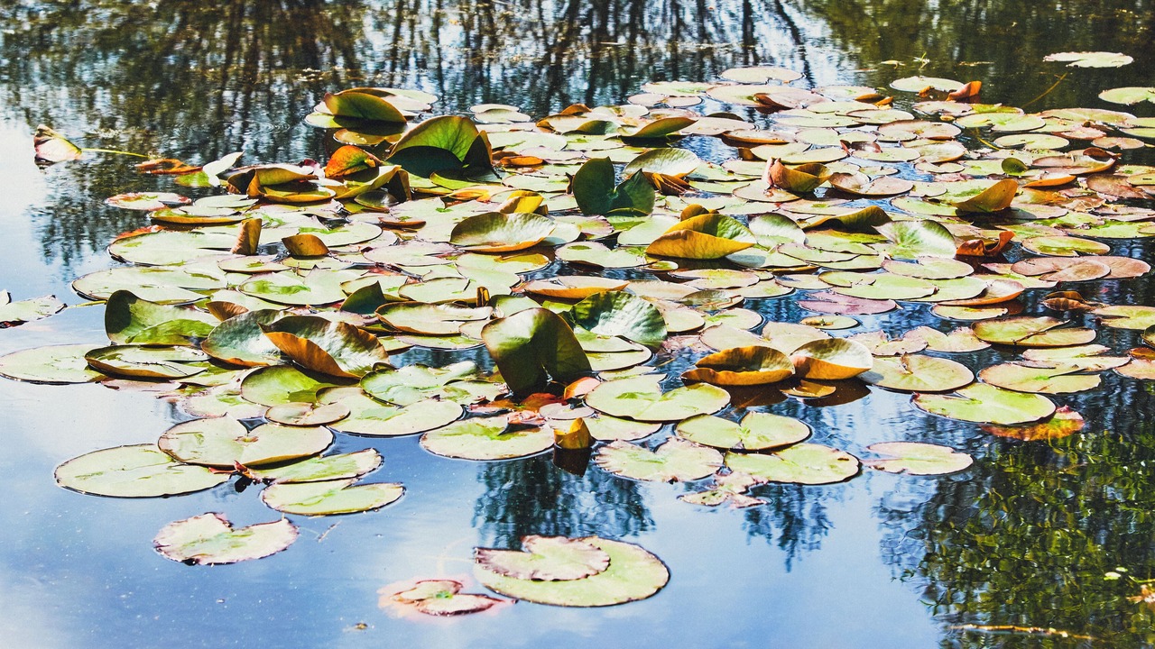 Photo of Outdoor in Favieres