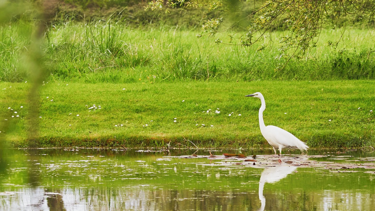 Photo of Outdoor in Favieres