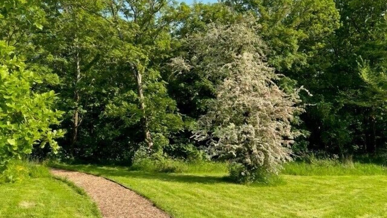 Photo of Outdoor in Shaftesbury