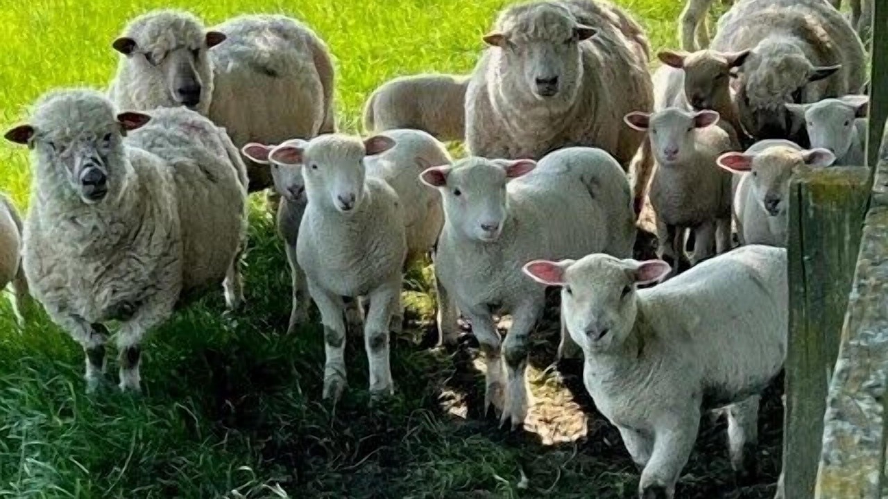 Photo of Outdoor in Shaftesbury