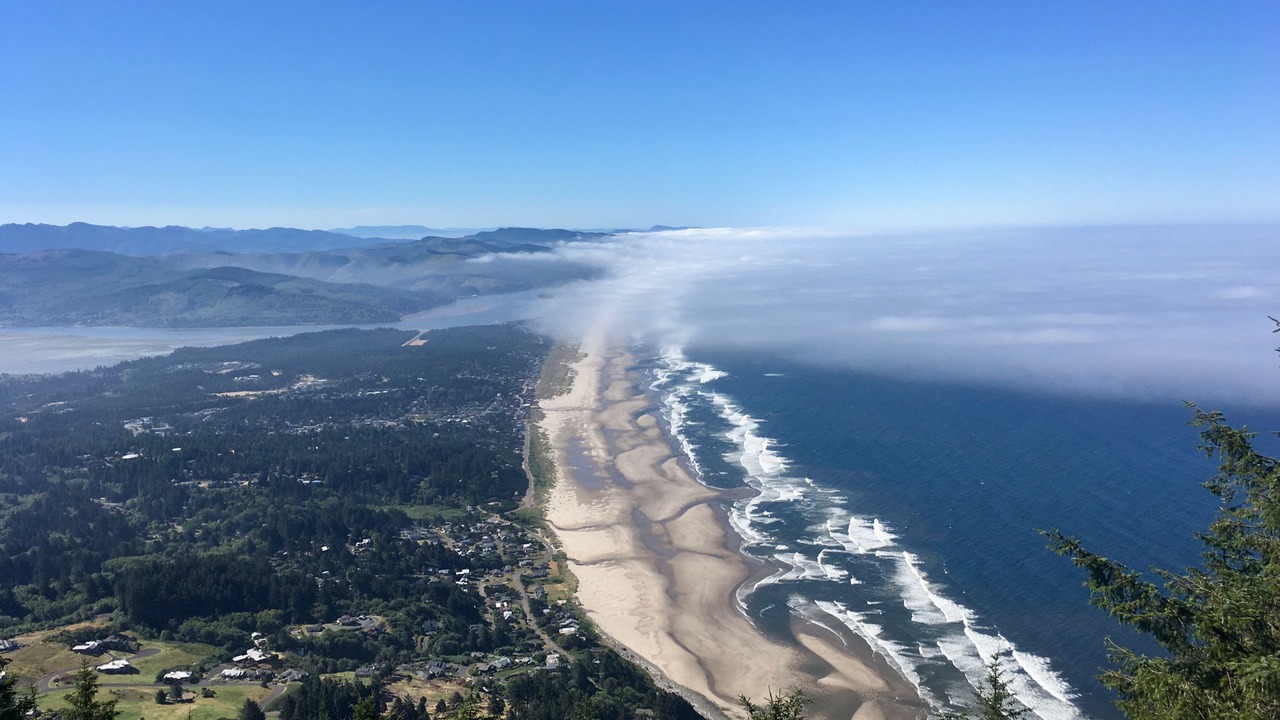 Photo of Others in Manzanita