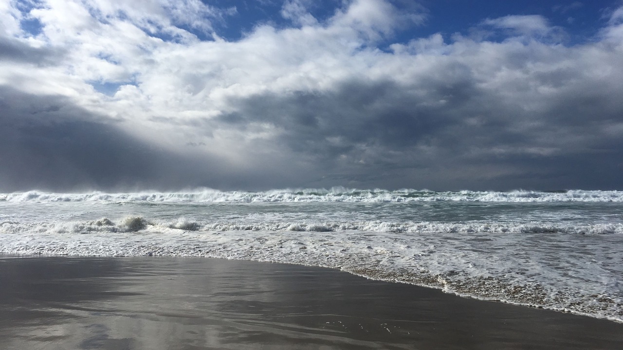 Photo of Others in Manzanita