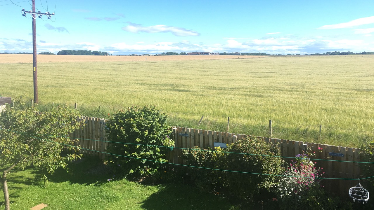 Photo of Others in Crail