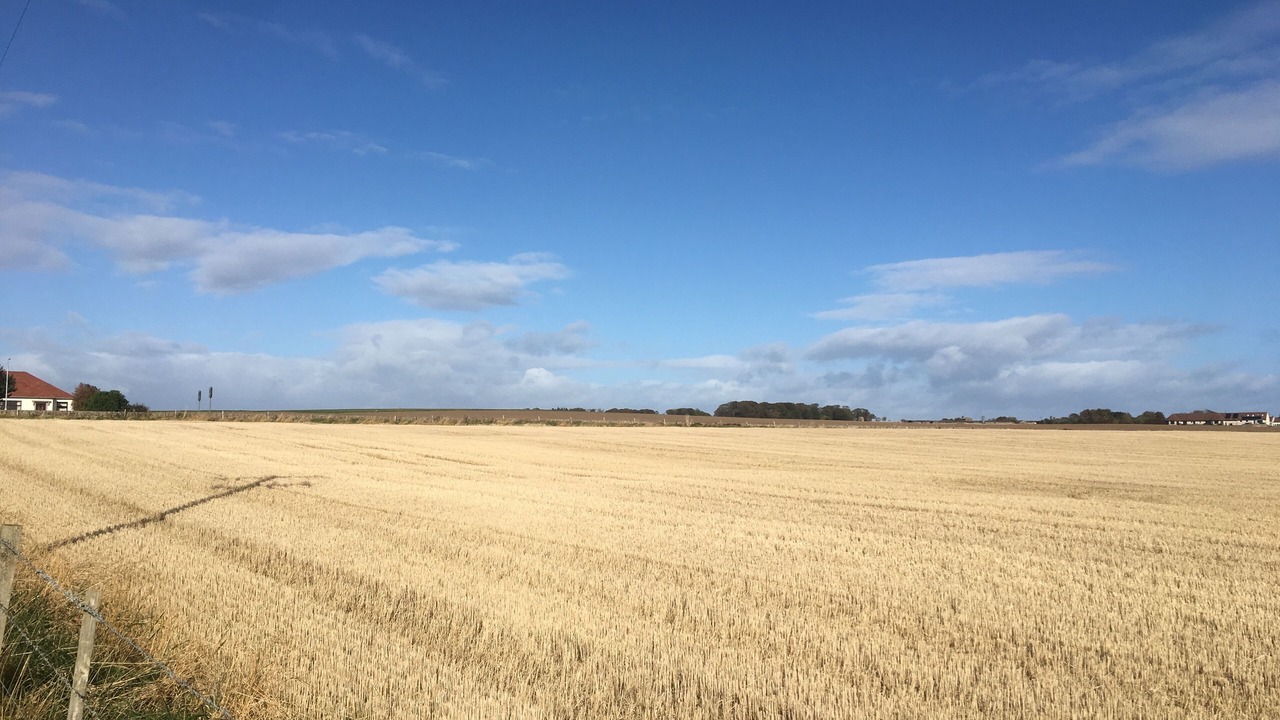 Photo of Outdoor in Crail