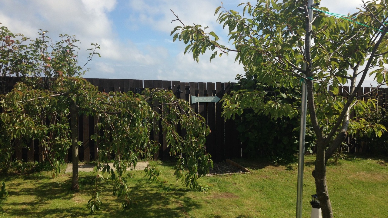 Photo of Others in Crail