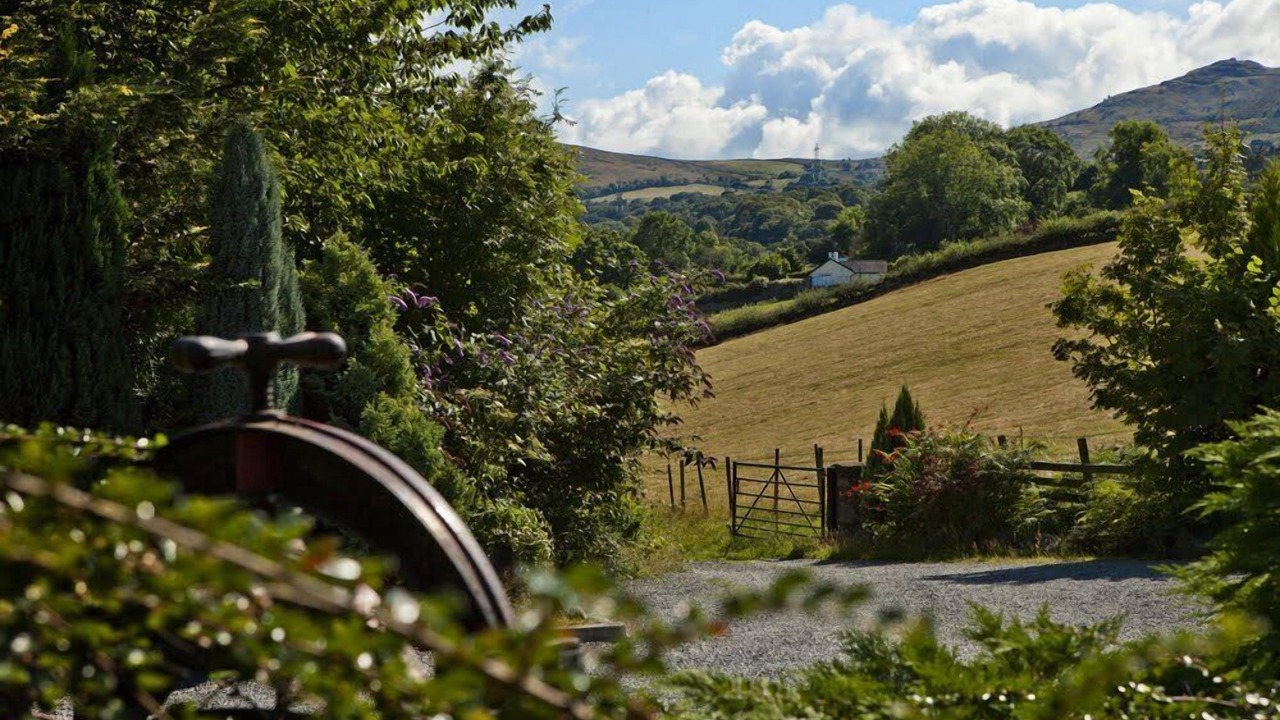 Photo of Outdoor in Rowen