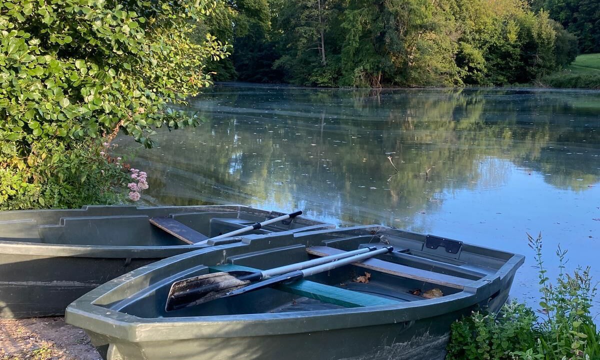 Photo of Outdoor in Saint-Cyr-en-Arthies
