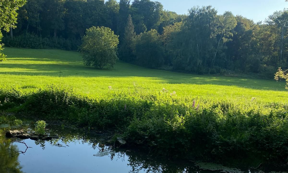 Photo of Outdoor in Saint-Cyr-en-Arthies