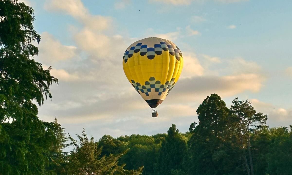 Photo of Others in Saint-Cyr-en-Arthies