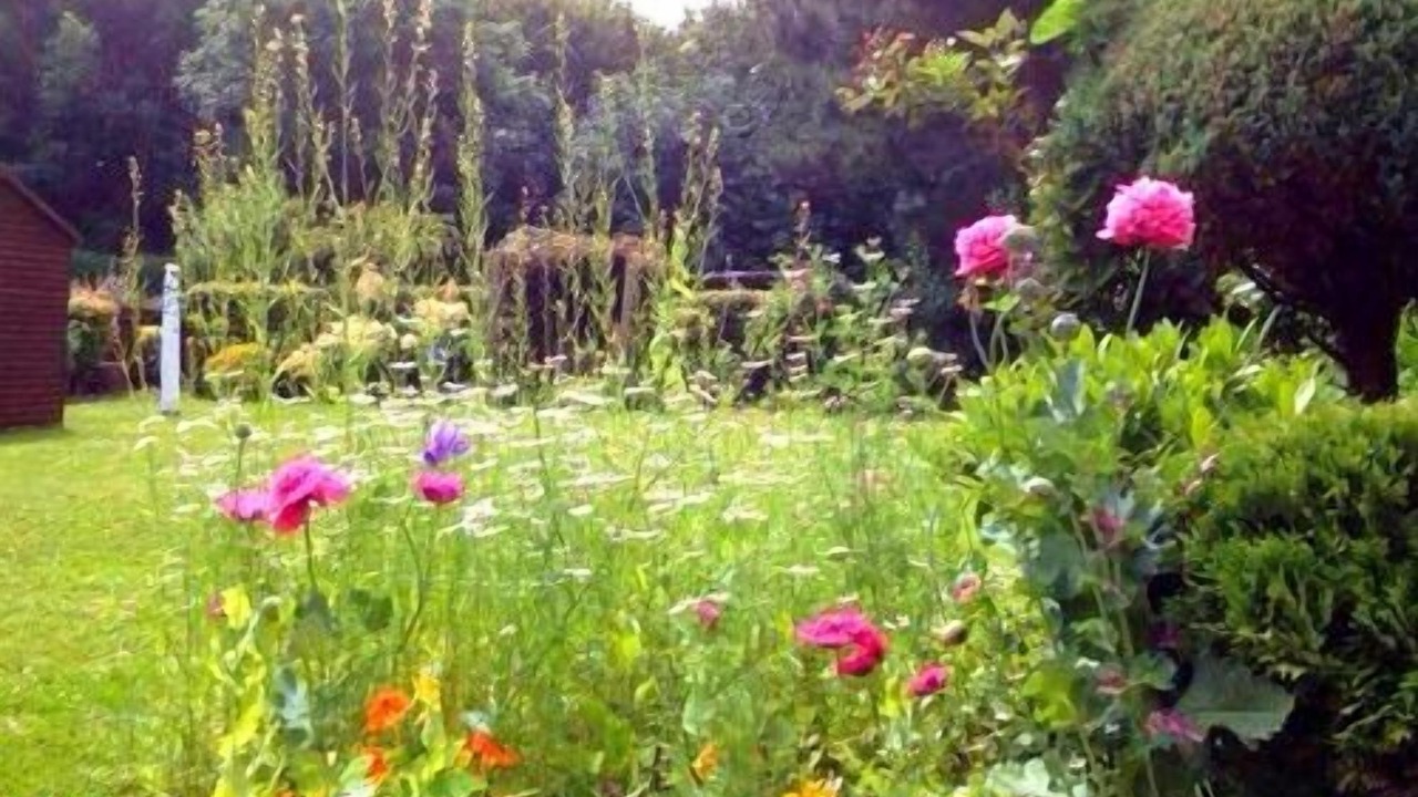 Photo of Others in Chichester