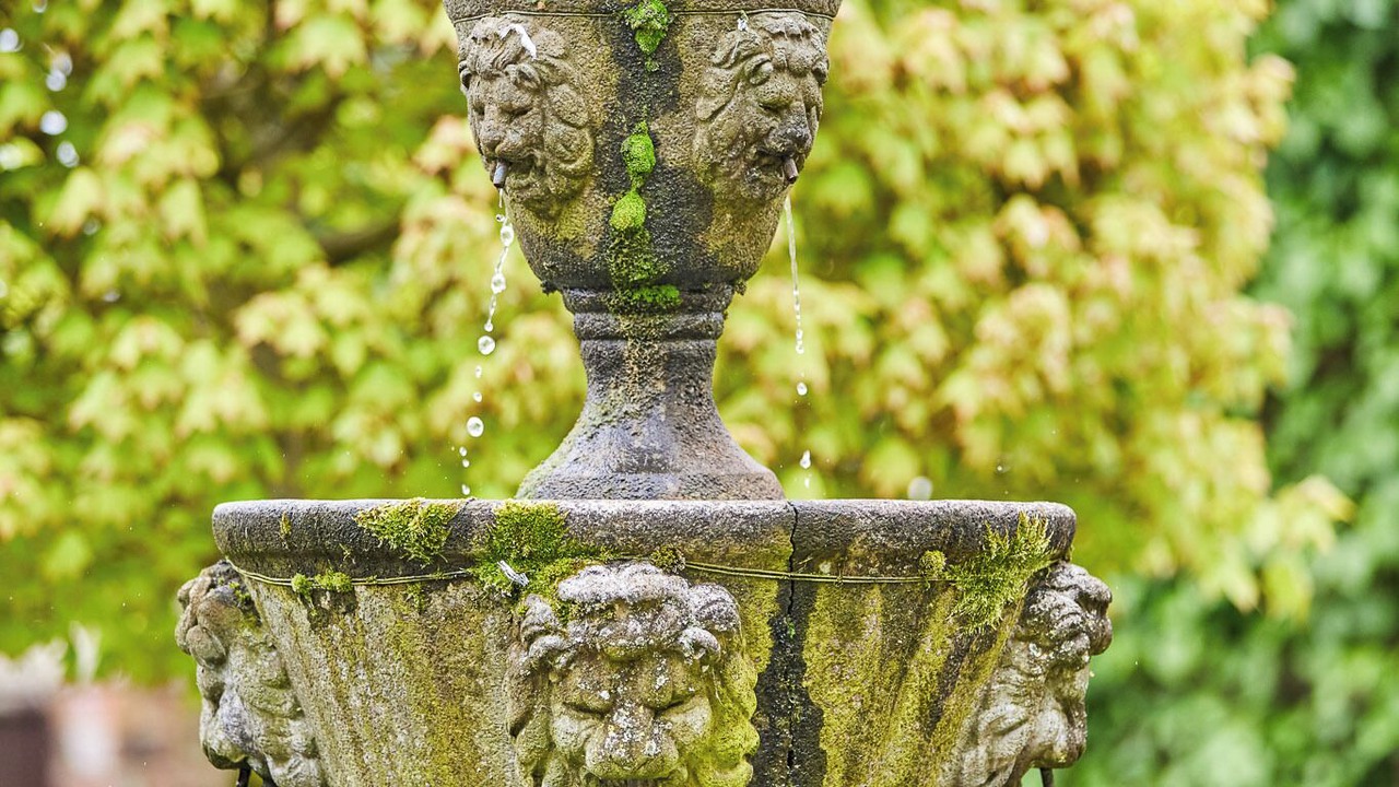 Photo of Outdoor in North Stainley