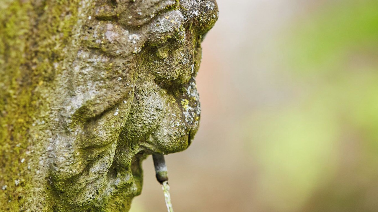 Photo of Outdoor in North Stainley