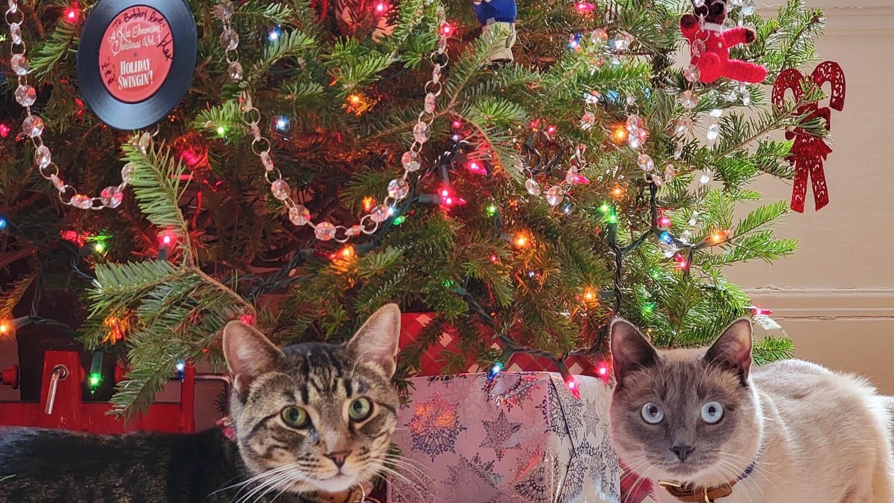 Photo of Others in Salem