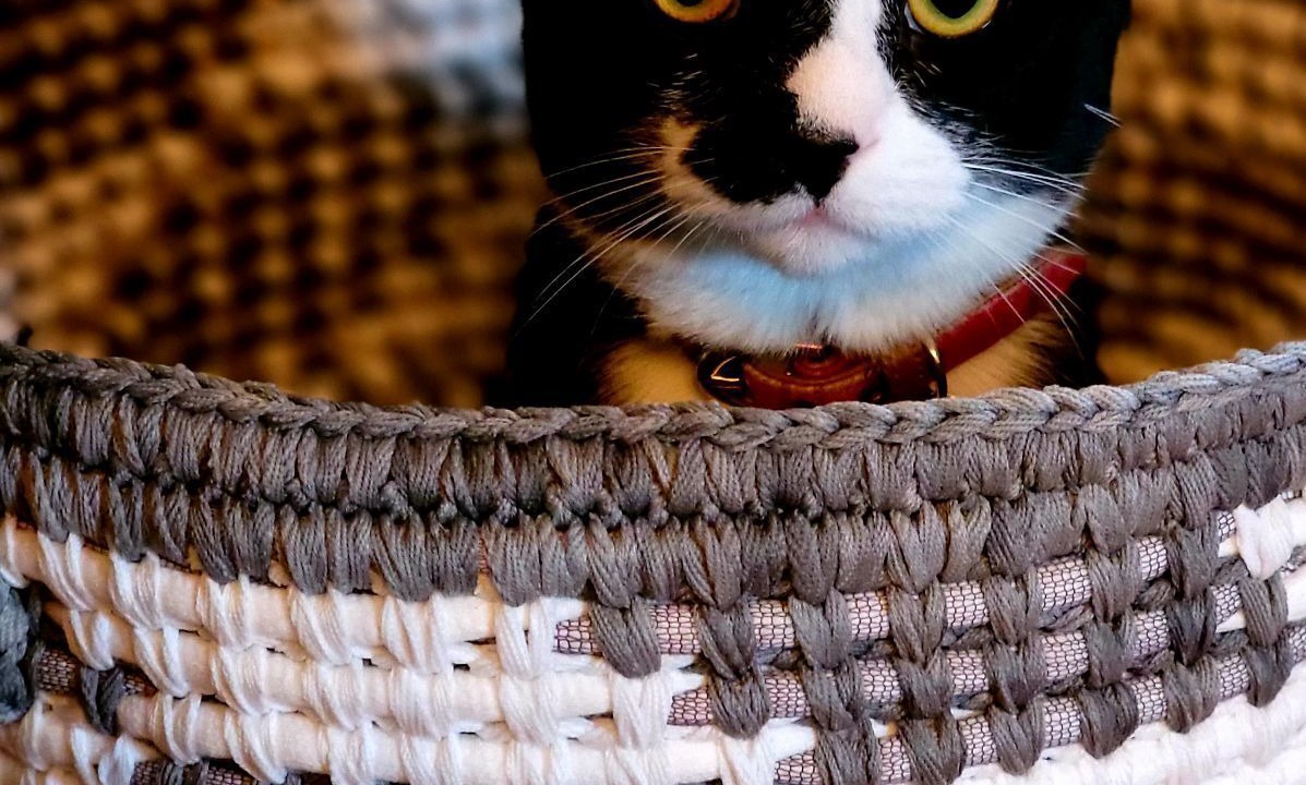 Photo of Livingroom in Salem