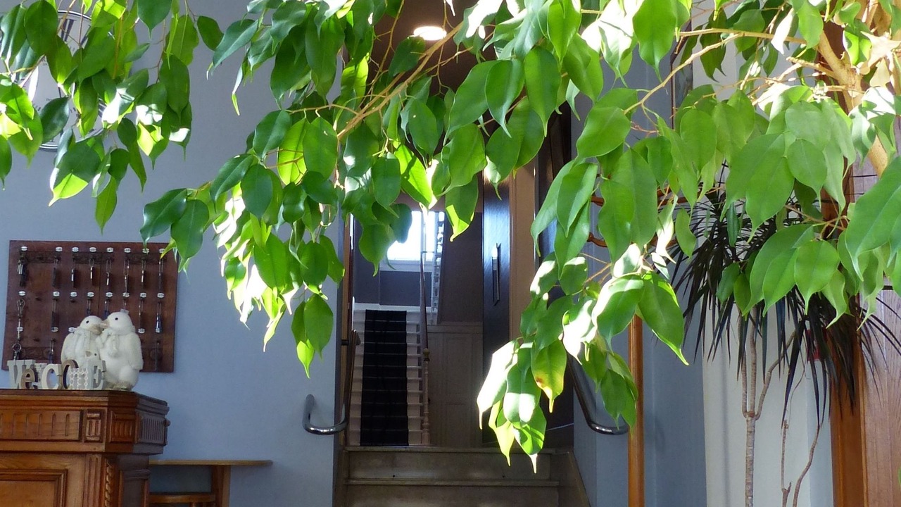 Photo of Bedroom in Toul