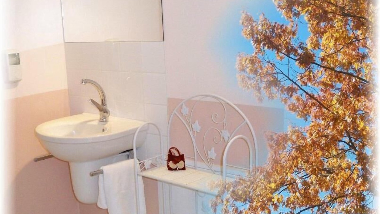 Photo of Bathroom in Menesplet