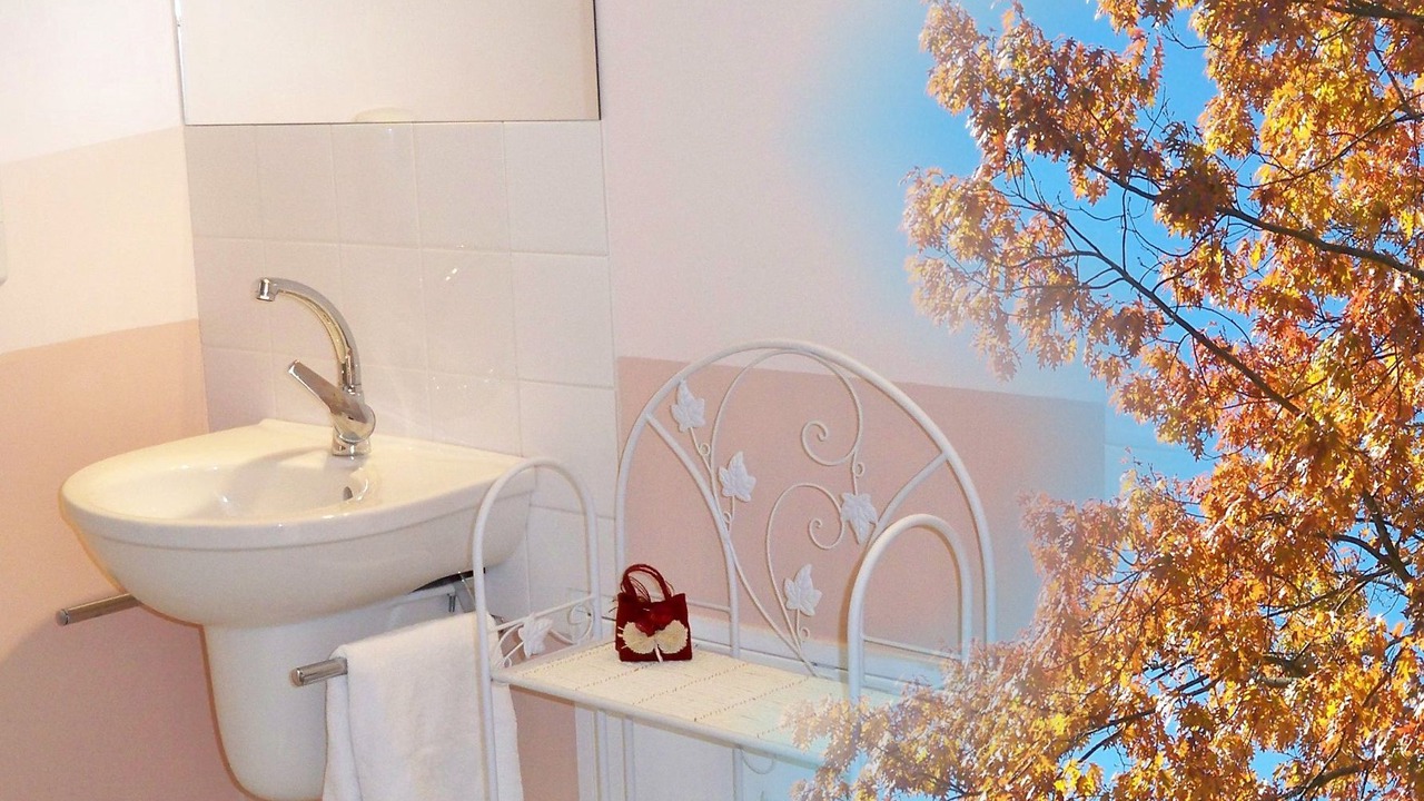 Photo of Bathroom in Menesplet