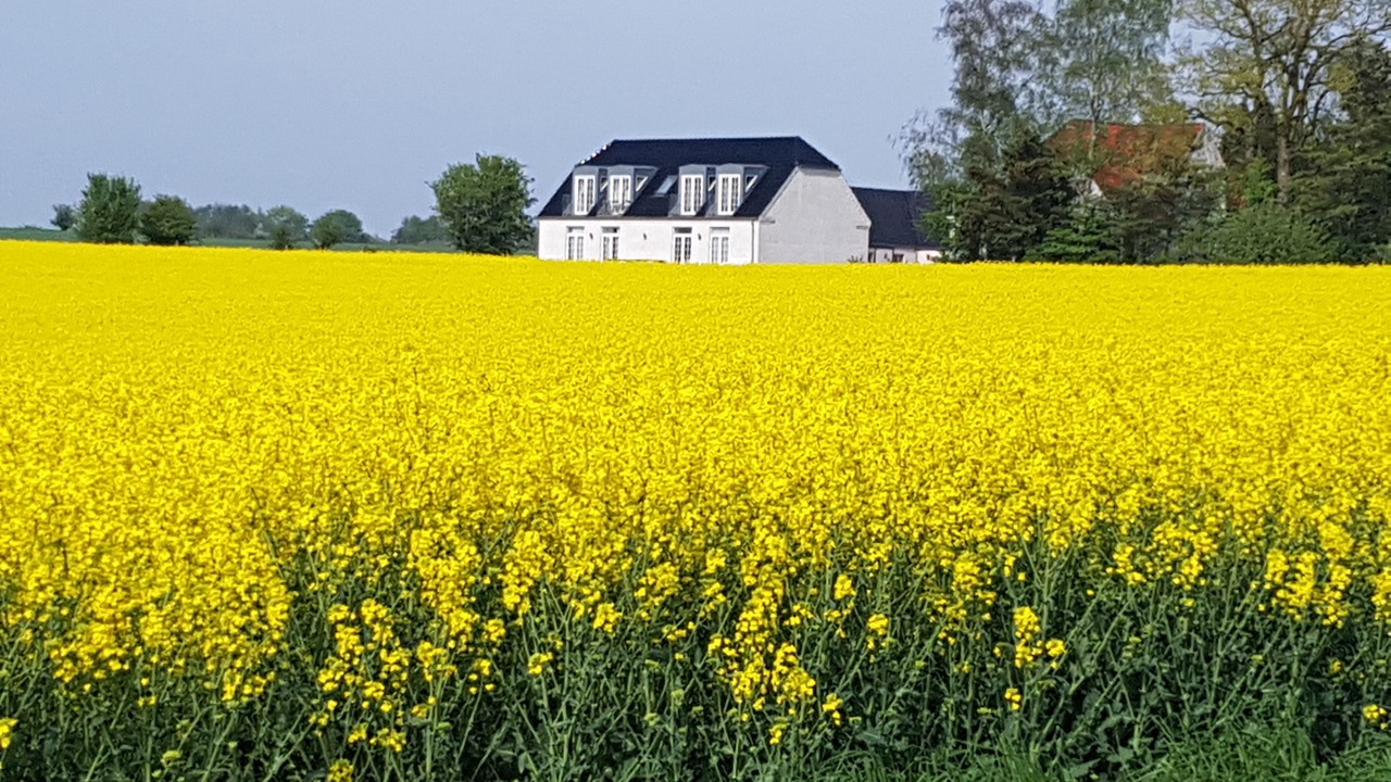 Photo of Outdoor in Gadstrup