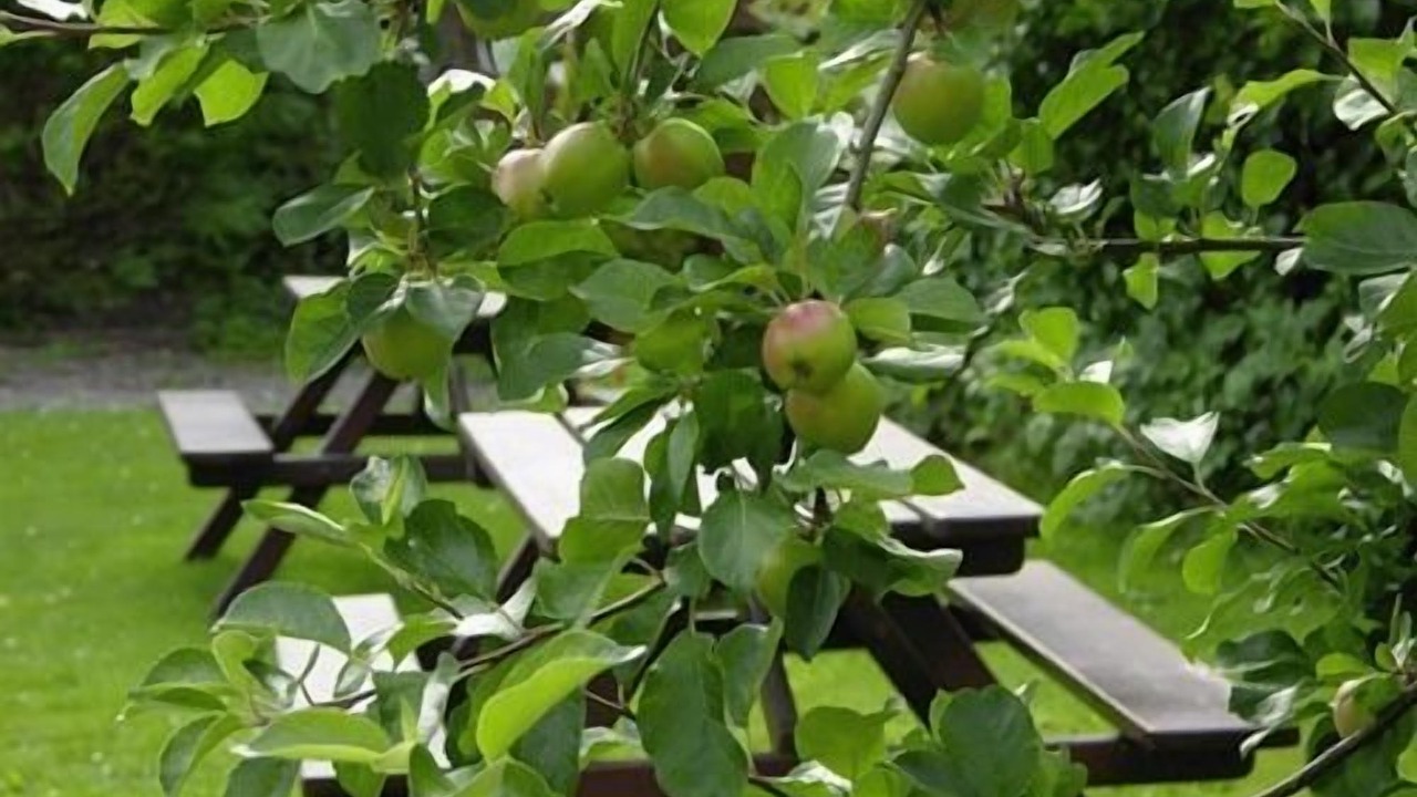 Photo of Others in Muthill