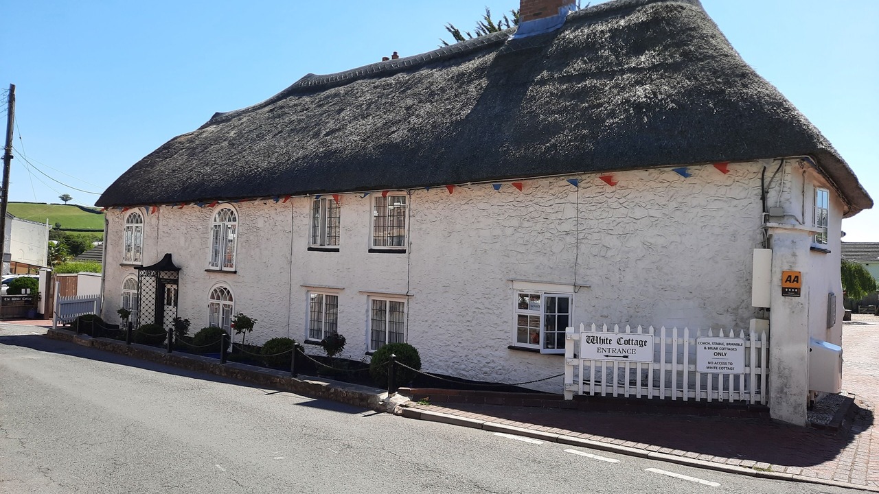 Photo of Outdoor in Colyton