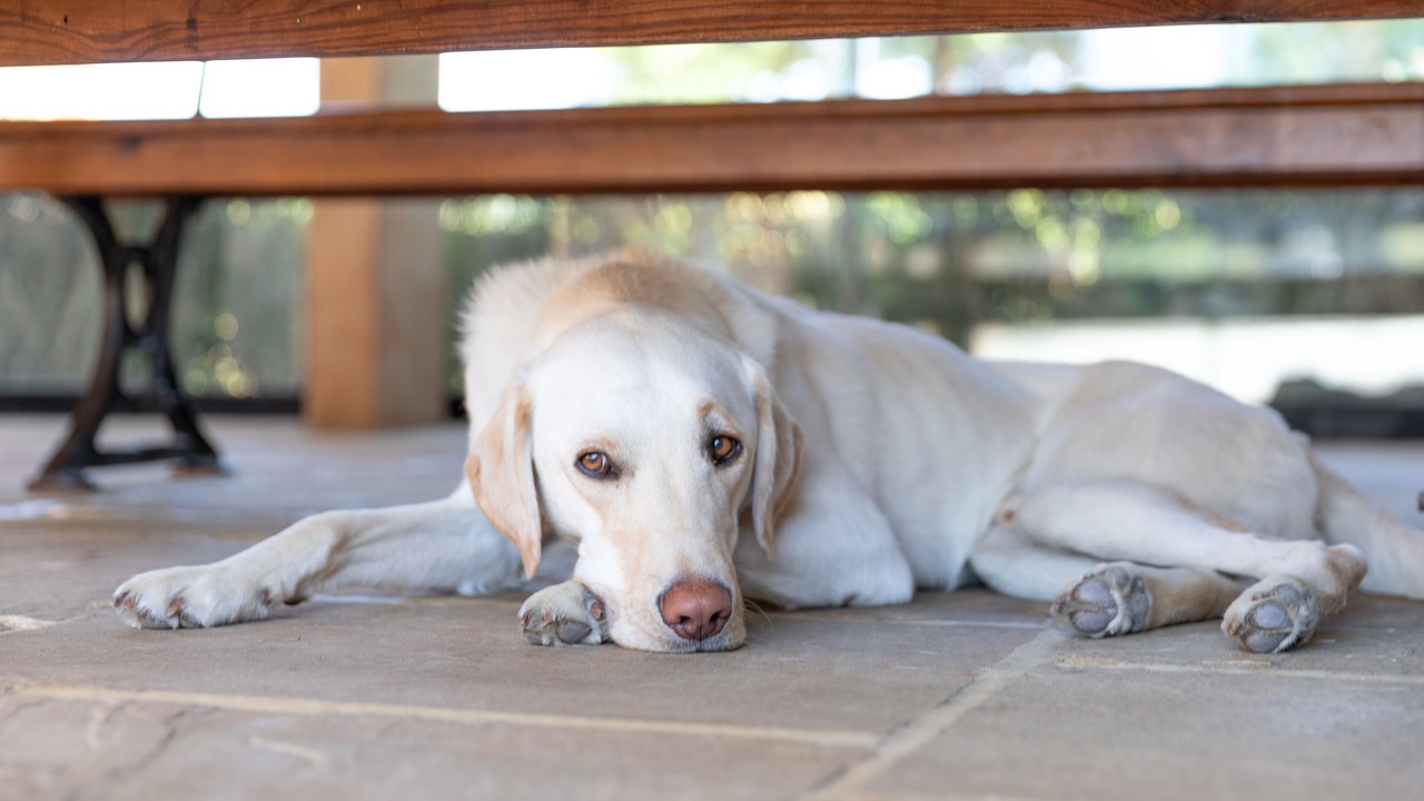 Photo of Others in Crockham Hill