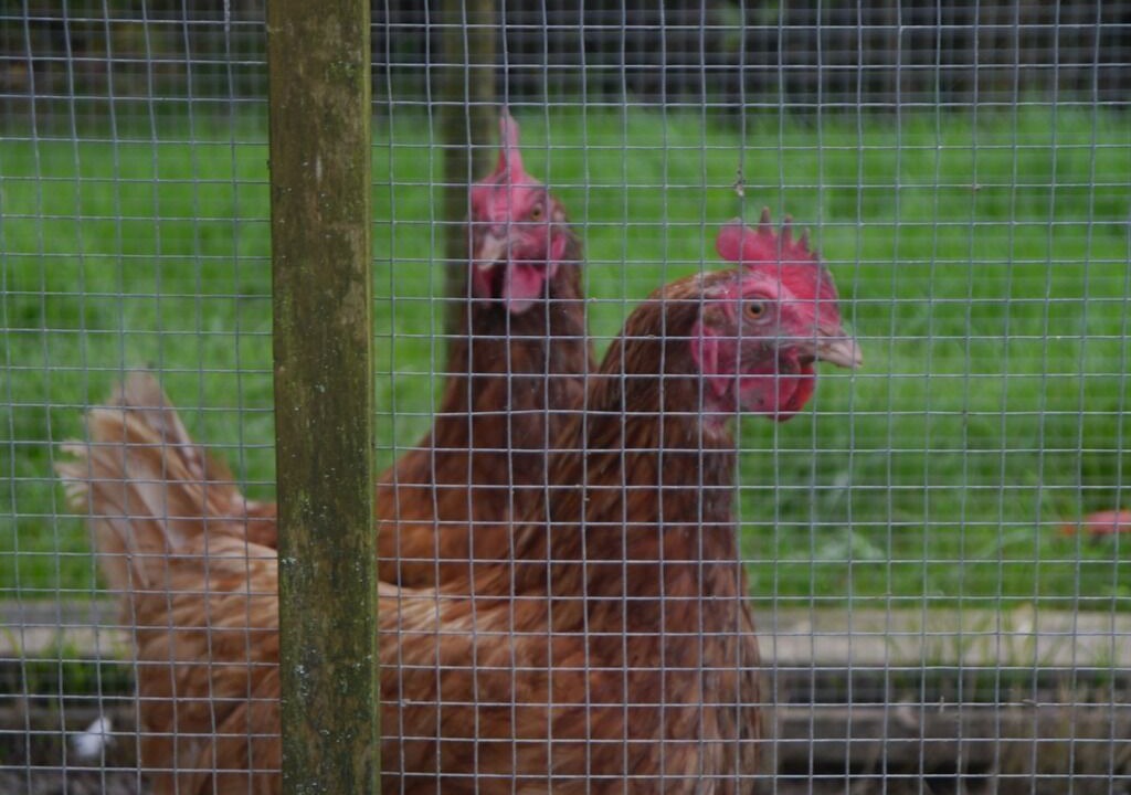 Photo of Outdoor in Crockham Hill