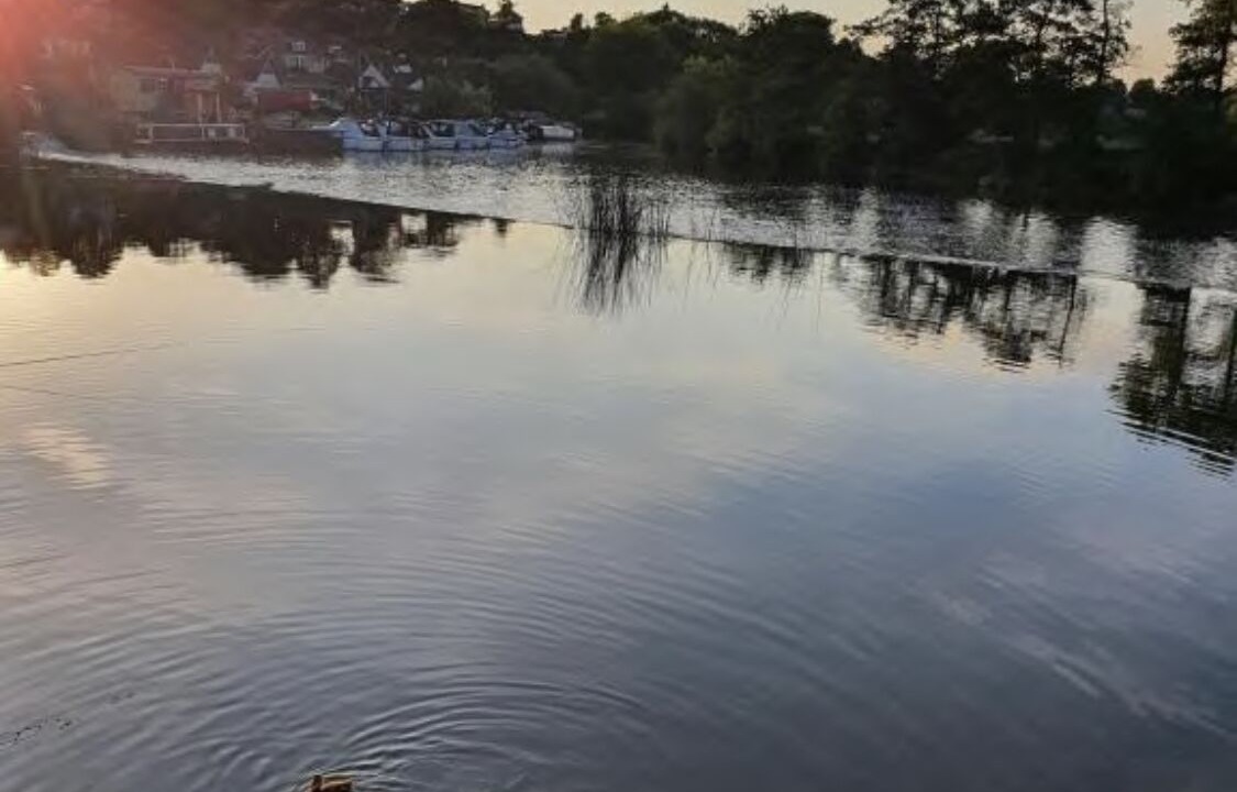 Photo of Others in Saltford