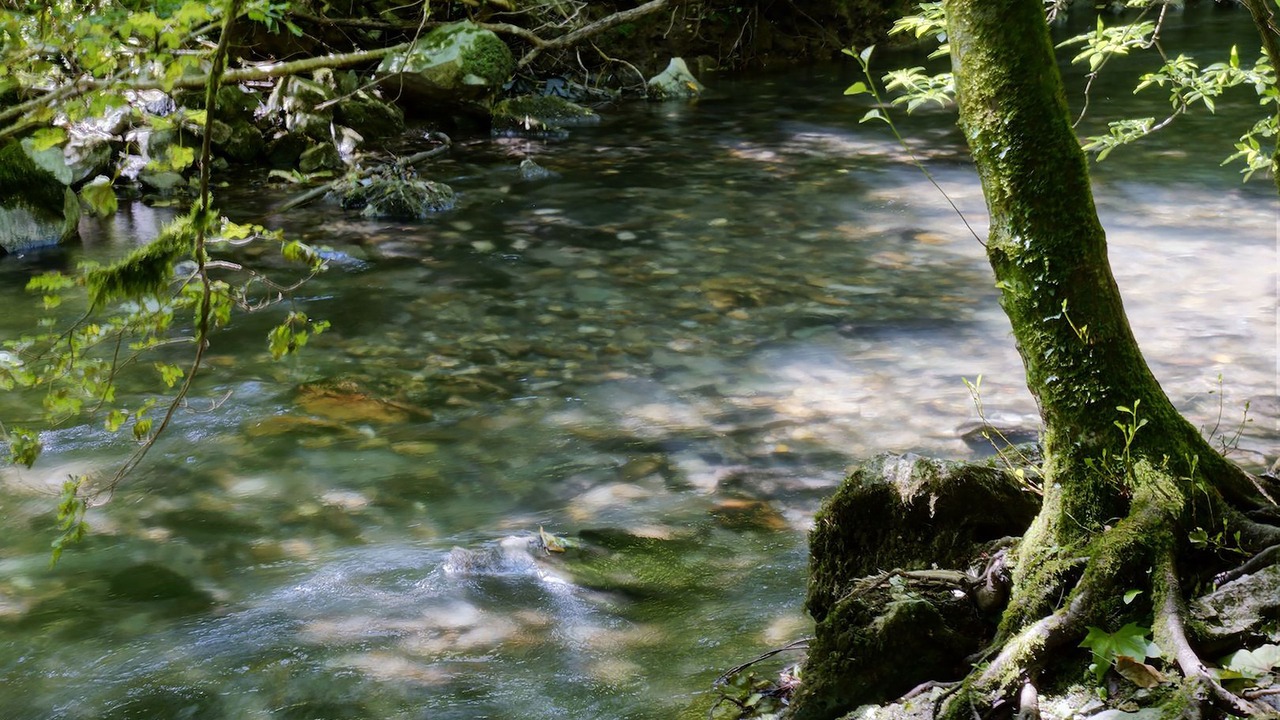 Photo of Outdoor in Arantza
