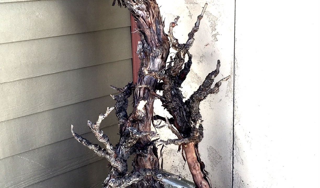 Photo of Others in Plymouth