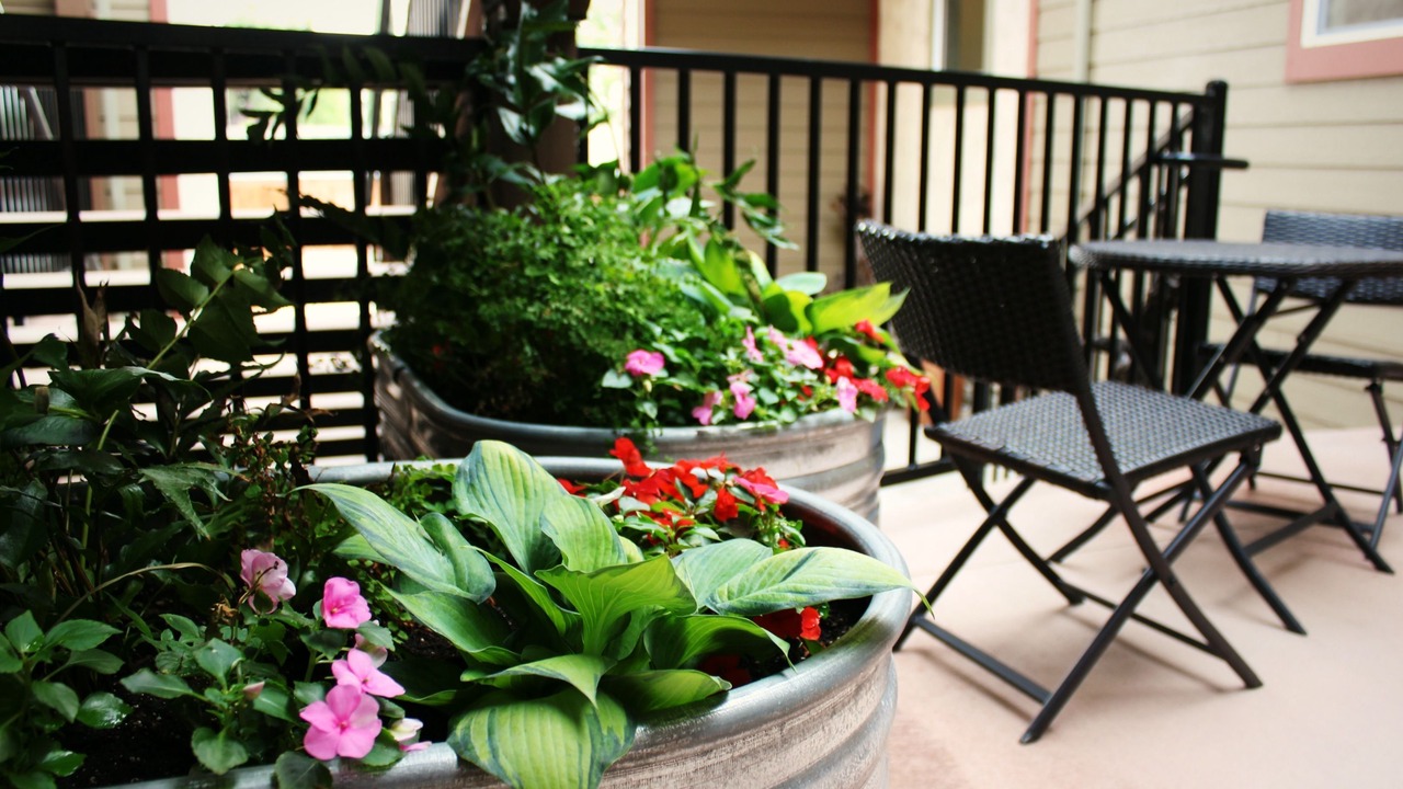 Photo of Outdoor in Plymouth