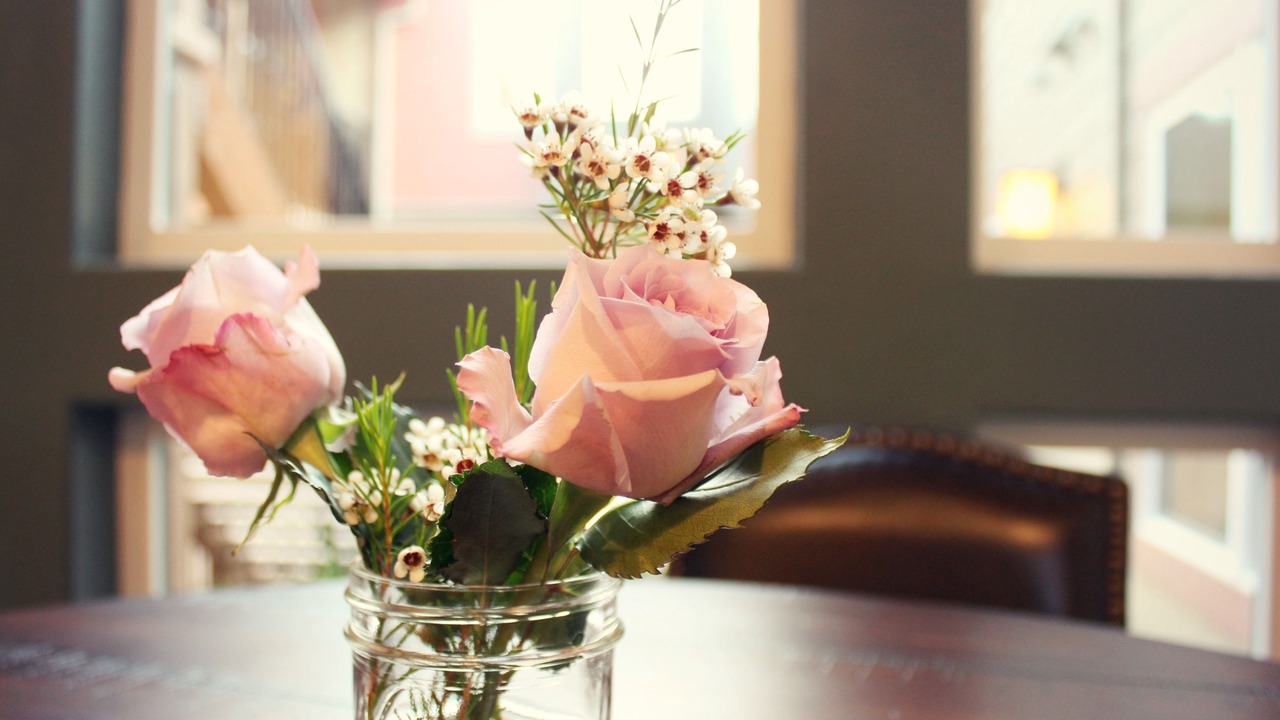 Photo of Others in Plymouth