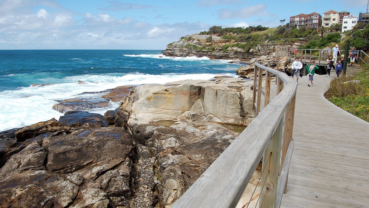 Photo of Others in Coogee