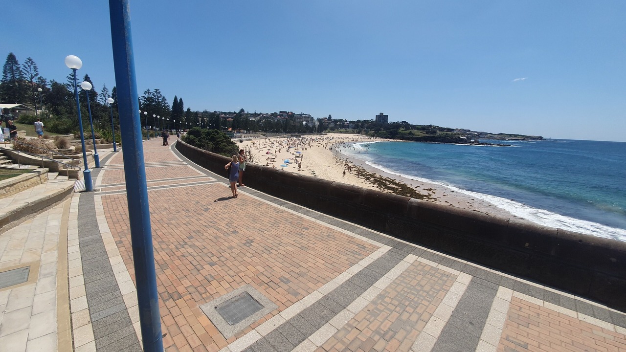 Photo of Others in Coogee