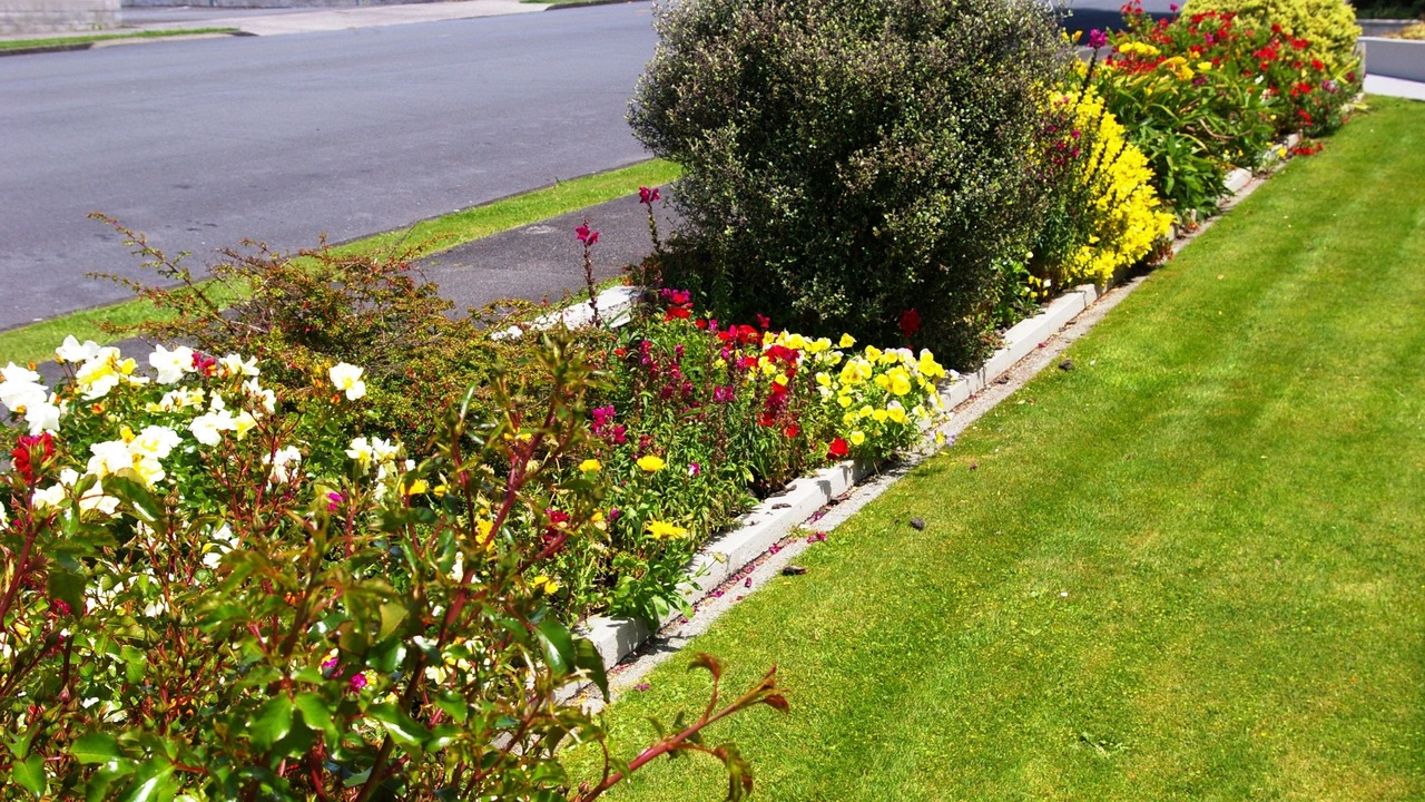 Photo of Others in Levin