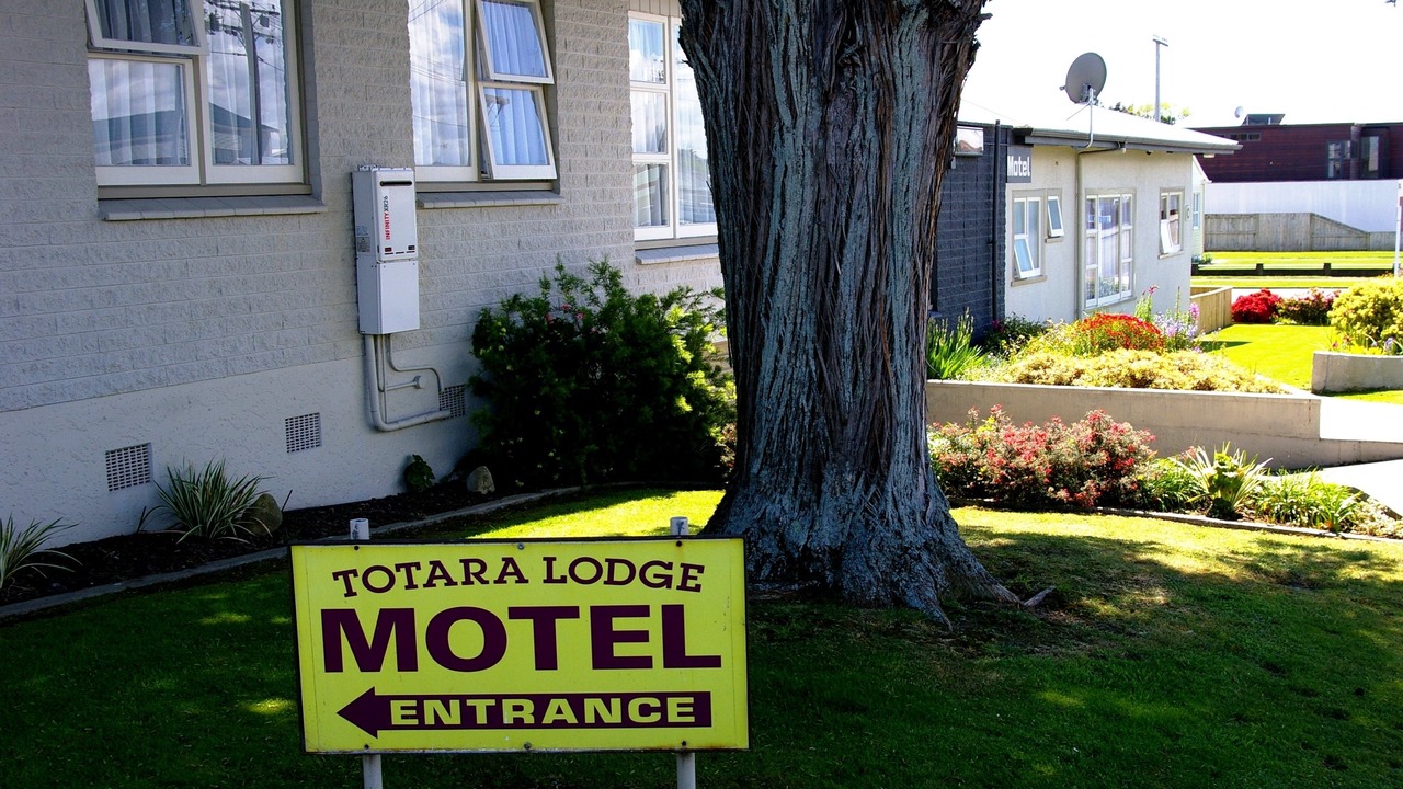 Photo of Outdoor in Levin