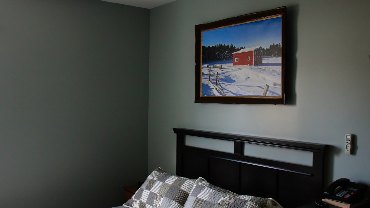 Photo of Others in Harbour Grace