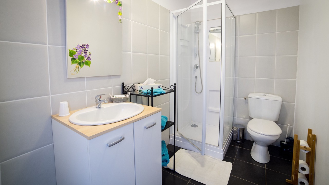 Photo of Bathroom in Buzeins