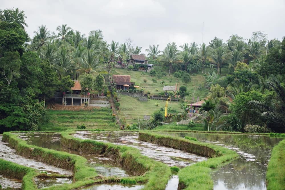 Photo of Outdoor in East Selemadeg