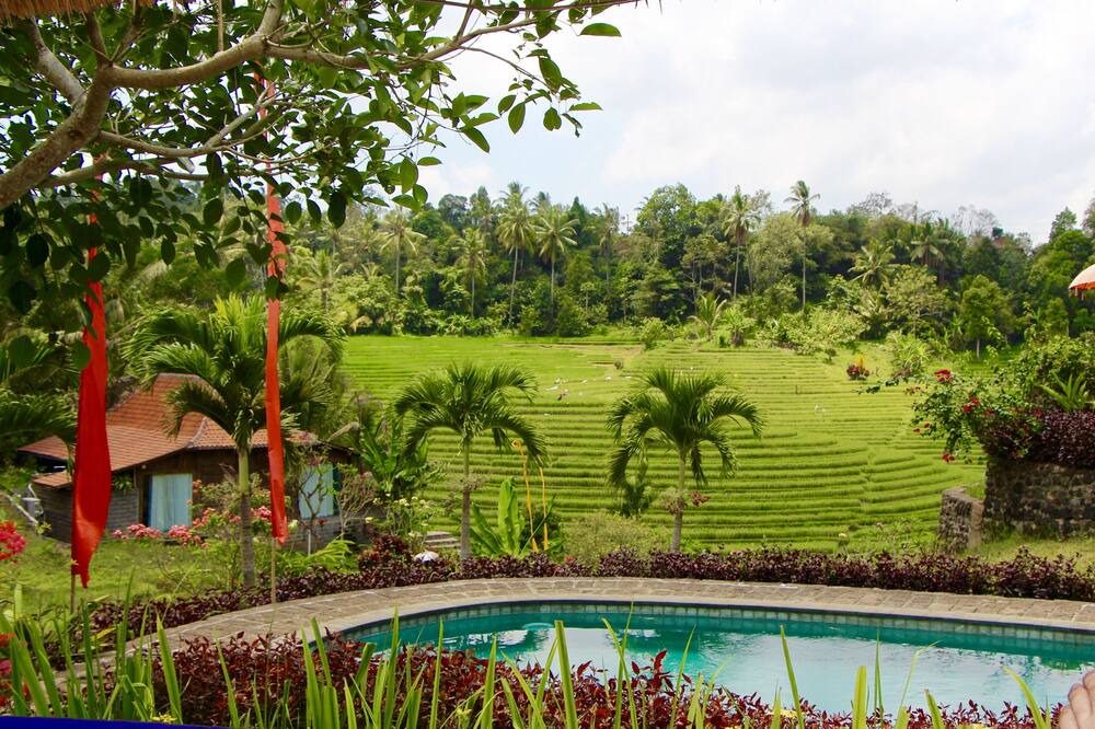 Photo of Outdoor in East Selemadeg