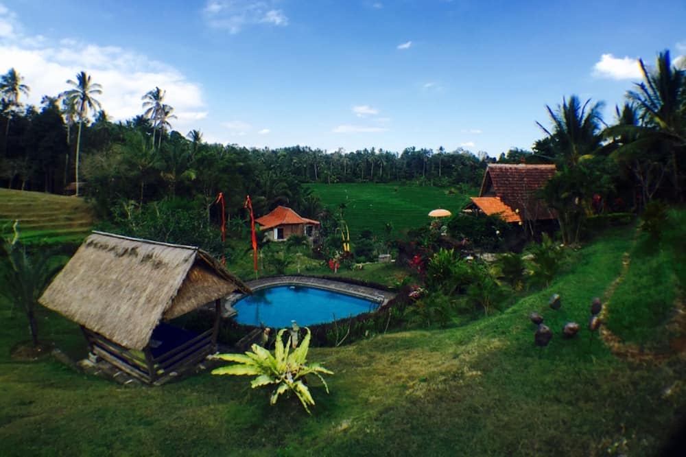 Photo of Outdoor in East Selemadeg