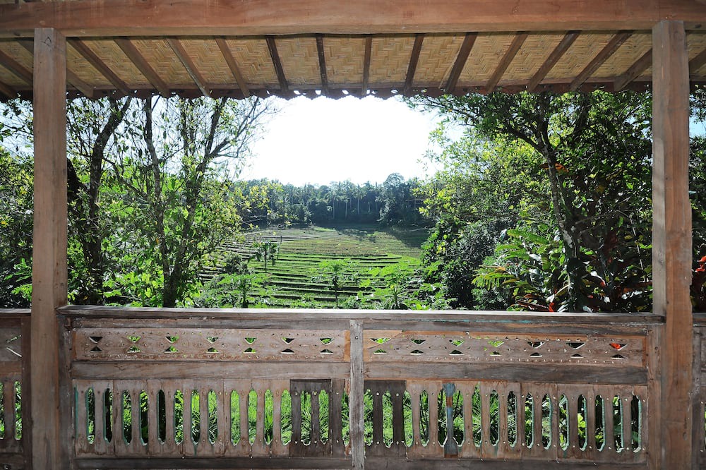 Photo of Patio Balcony in East Selemadeg