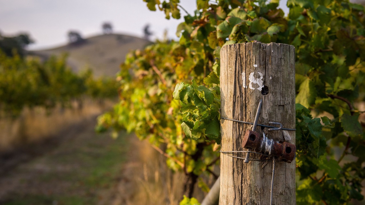 Photo of Outdoor in Mount Cole
