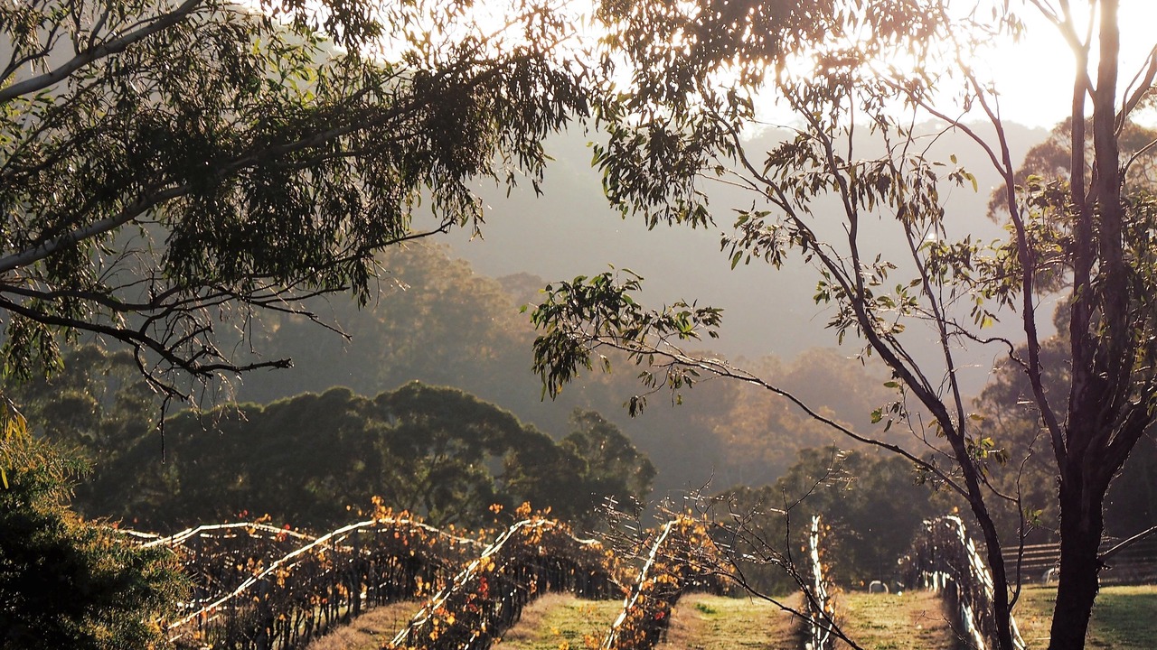 Photo of Others in Mount Cole