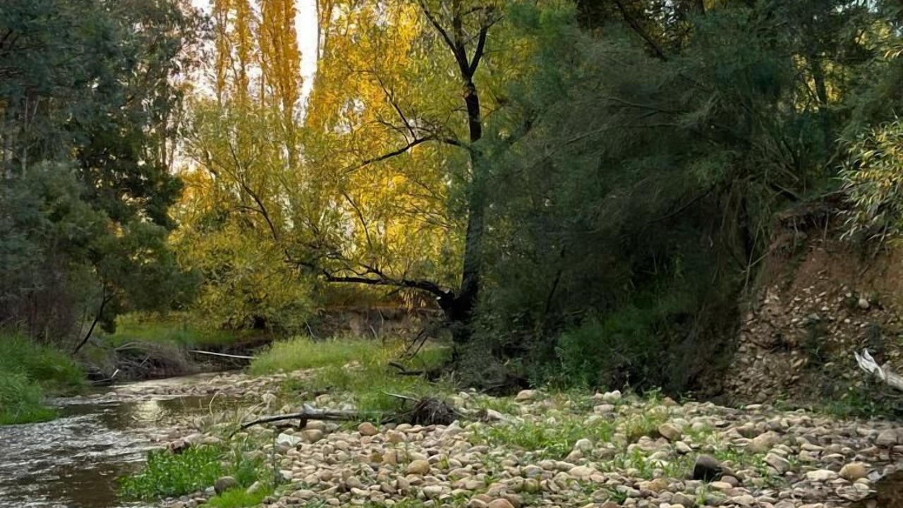 Photo of Outdoor in Myrrhee