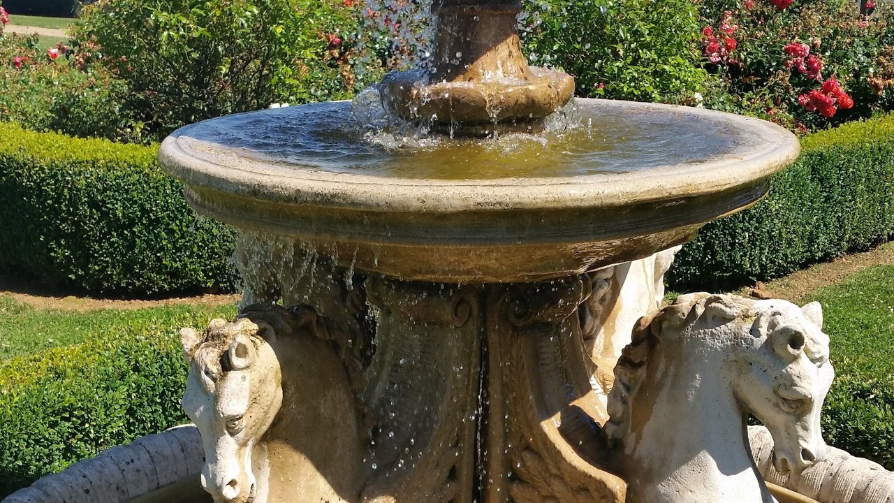 Photo of Outdoor in Myrrhee