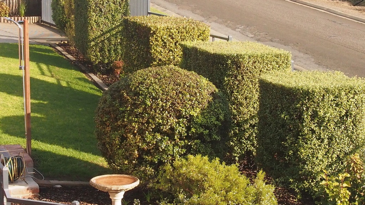 Photo of Outdoor in Penneshaw