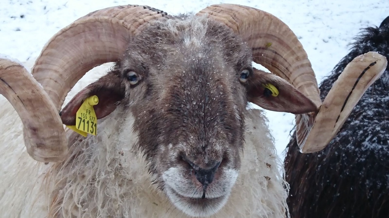 Photo of Outdoor in Caudies-de-Fenouilledes